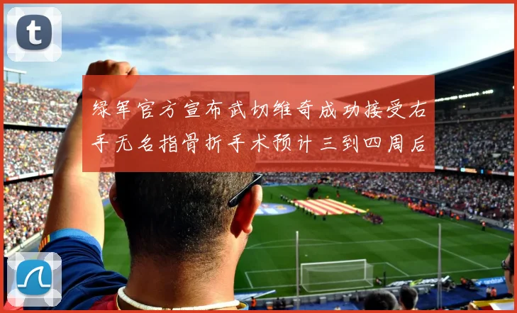 绿军官方宣布武切维奇成功接受右手无名指骨折手术预计三到四周后复查