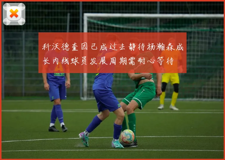 科沃德奎因已成过去静待杨瀚森成长内线球员发展周期需耐心等待