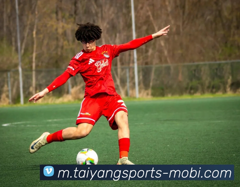 App Interface Preview